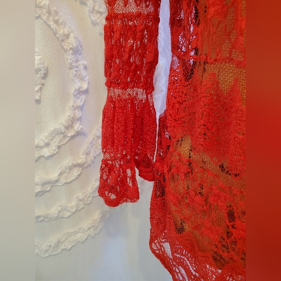Sheer Red Lace - Picture 5 of 9